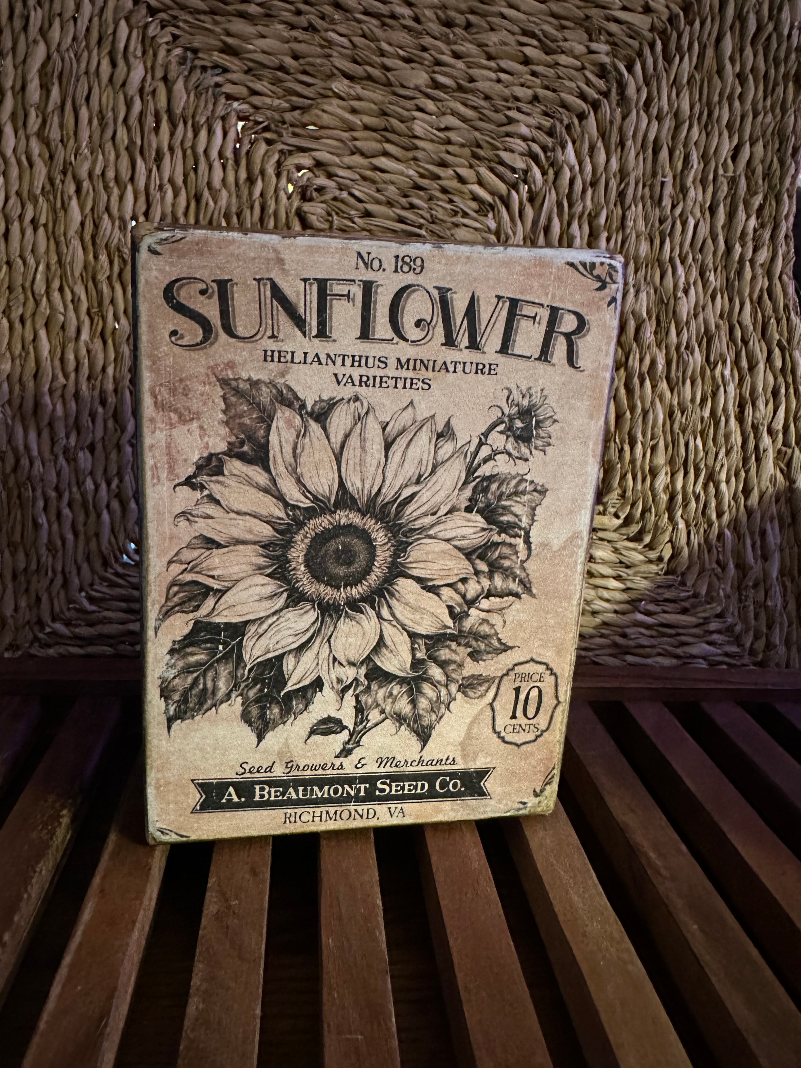 Shelf sitter sunflower
